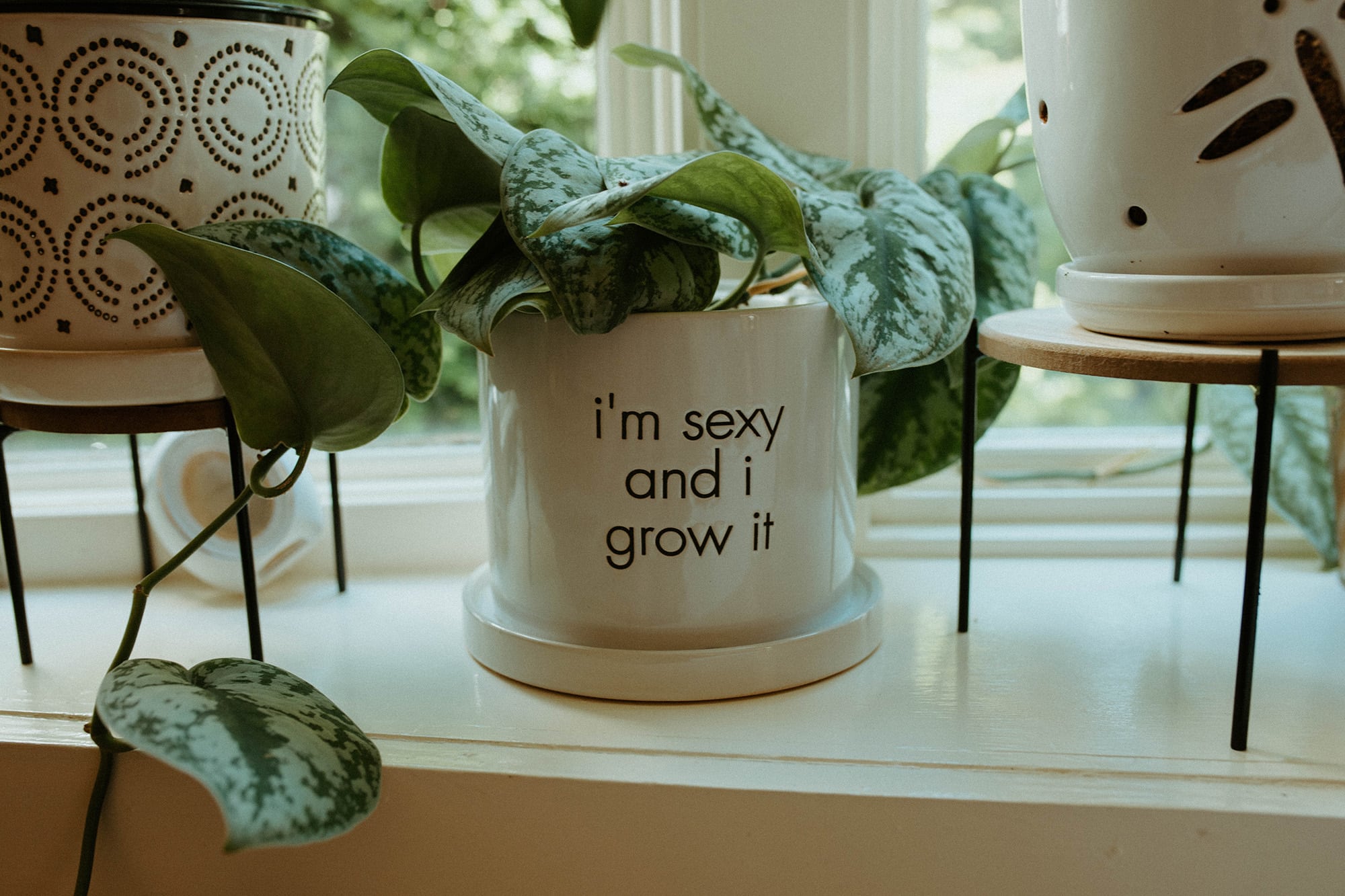plant mom cute flowerpot